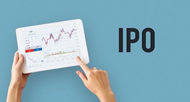 Should I Sell My Company or Prepare for IPO Readiness?